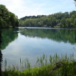 Der Rhein lädt zum Bade