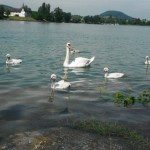 DSCF1020 - Kopie